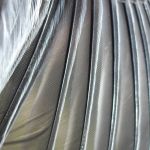 Chickadee primary flight feathers