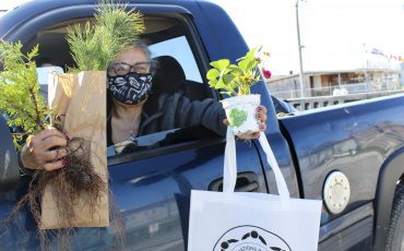 Cynthia VanEvery stopped by Turtle Island News on Earth Day to take advantage of the annual free tree give-away. (Photo by Jim C. Powless)