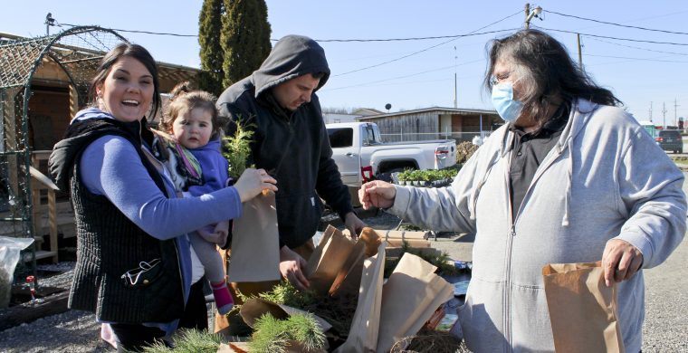 Packing the trees for Turtle Island's annual tree give-away on Earth Day 2022