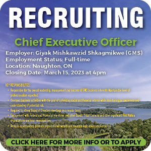 Recruiting Chief Executive Officer