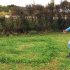 Fred Clause spots one of several “Fairy Circles” on his property. (Photo by Jim C. Powless)