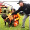 Six Nations Police and paramedics put through the hoops in Canadian Air Force emergency training