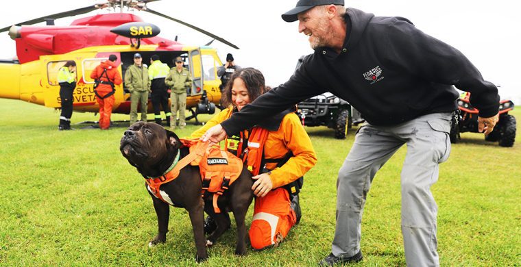 A RCAF Search and Rescue Squad­ron member (left) along with a Pegasus Rescue actor gets a RCAF search dog ready to partici­pate in training.