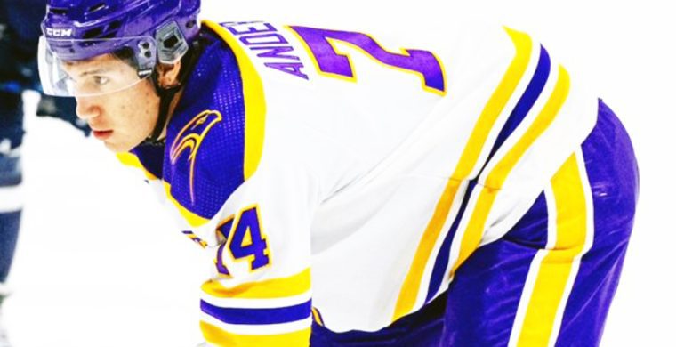 Six Nations member Brenden Anderson has completed his university rookie season with the Wilfrid Laurier Golden Hawks men’s hockey squad.