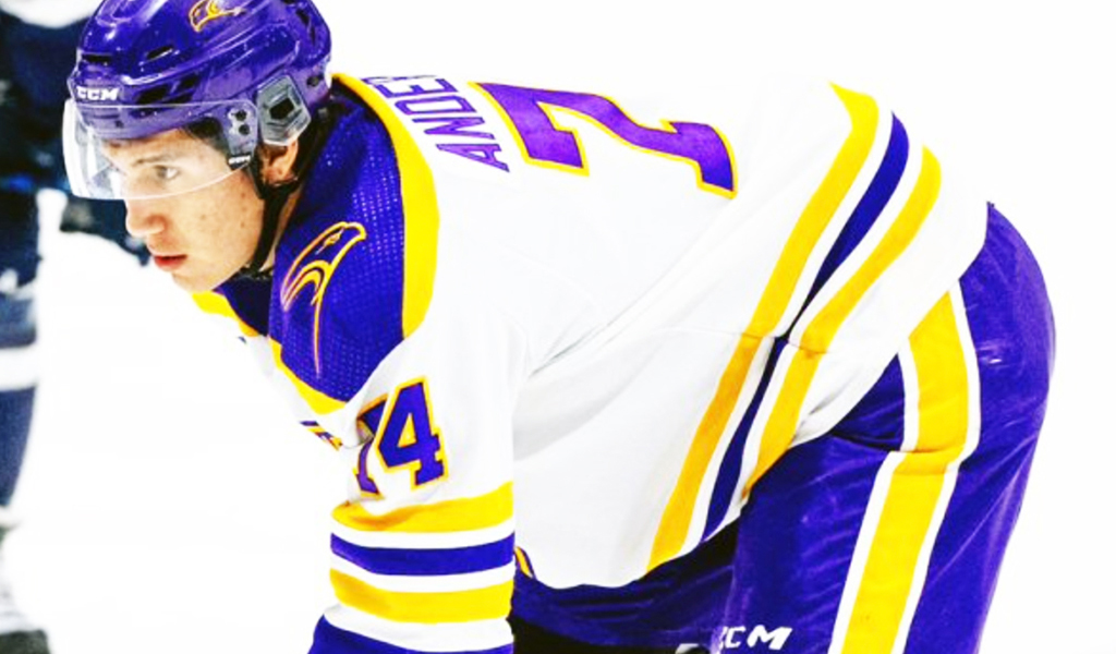 Six Nations member Brenden Anderson has completed his university rookie season with the Wilfrid Laurier Golden Hawks men’s hockey squad.