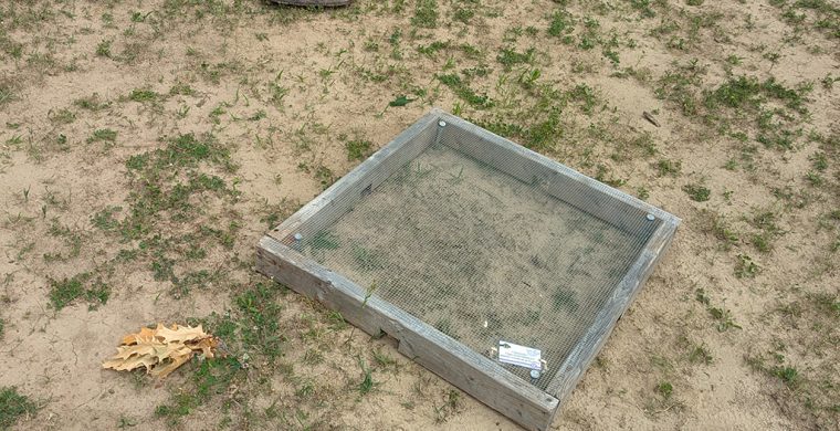 It doesn’t look like much, but this turtle nest protector is a game changer for future hatchlings who have a one percent survival rate in the wild. (Photo provided by Lauren Jones)