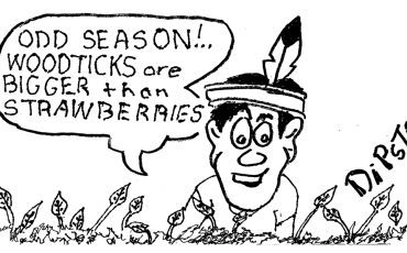 Weekly Cartoon