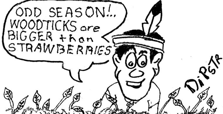 Weekly Cartoon