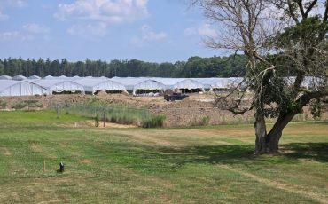 Six Nations architect has partnered with a Toronto housing developer to construct housing on one of the community’s largest cannabis fields.