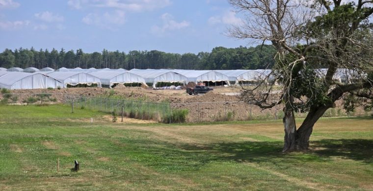 Six Nations architect has partnered with a Toronto housing developer to construct housing on one of the community’s largest cannabis fields.