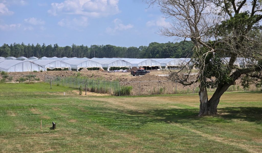 Six Nations architect has partnered with a Toronto housing developer to construct housing on one of the community’s largest cannabis fields.