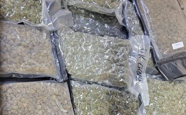 Illicit Cannabis Products (OPP: Photo)
