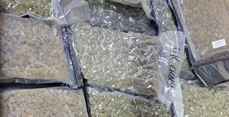Illicit Cannabis Products (OPP: Photo)