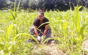 It’s about connecting Singing to the plants and connecting with the Earth was all part of the teachings at the Haudenosaunee Climate Action Gathering at Sour Springs Longhouse this weekend. Gawinoh Parker held a workshop teaching seed songs to gardeners. (Photo by Jim C. Powless)
