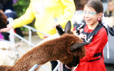 Six Nations annual fair was packed with events, rides, the smell of fair food and animals along with crowds over the weekend. (Photo by Jim C. Powless)