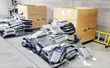 OPP seized 753 lbs of dried illicit cannabis. (OPP Photo)