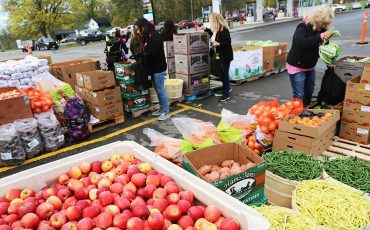Tonnes of harvest vegetables filled a large portion of the Route 54 Variety’s parking lot about to be given away to people who showed up. (Photos by Jim C. Powless)