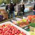 Tonnes of harvest vegetables filled a large portion of the Route 54 Variety’s parking lot about to be given away to people who showed up. (Photos by Jim C. Powless)