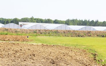 Concerns over a huge cannabis operation on Fourth Line has sparked not only neighbourhood concerns over the industry, but a referendum may now be coming. (Turtle Island News File photo)