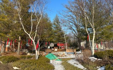 The Mississaugas of the Credit First Nation (MCFN) marked Missing and Murdered Indigenous Women, Girls and Two-Spirit People (MMIWG2S+) Valentine’s Day Feb.14th by hanging red ties as a tribute at the Historic Council House and Three Fires site. MCFN joined a country wide movement to confront violence against Indigenous women, girls and 2SLGBTQQIA+ people, reaffirmed its commitment to awareness, accountability and meaningful change.