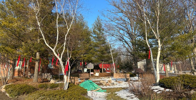 The Mississaugas of the Credit First Nation (MCFN) marked Missing and Murdered Indigenous Women, Girls and Two-Spirit People (MMIWG2S+) Valentine’s Day Feb.14th by hanging red ties as a tribute at the Historic Council House and Three Fires site. MCFN joined a country wide movement to confront violence against Indigenous women, girls and 2SLGBTQQIA+ people, reaffirmed its commitment to awareness, accountability and meaningful change.