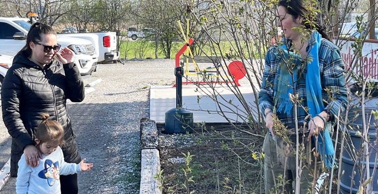 Turtle Island News’ Laura Dayle helps a Six Nations resident pick out a tree at Turtle Island News’ annual Earth Day tree give-away. (Photo by Jim C. Powless)