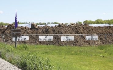 One of the largest cannabis fields on Six Nations is on Fourth Line directly behind a row of homes. (TIN file photo)