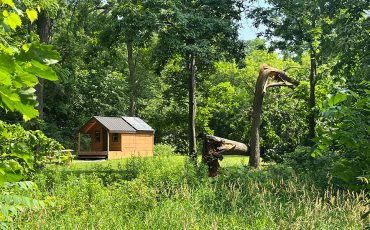 Chiefswood Park cabins just skirted damage when storms bearing high winds hit the community last week. (Photo by Alex Murray) See more page 5.