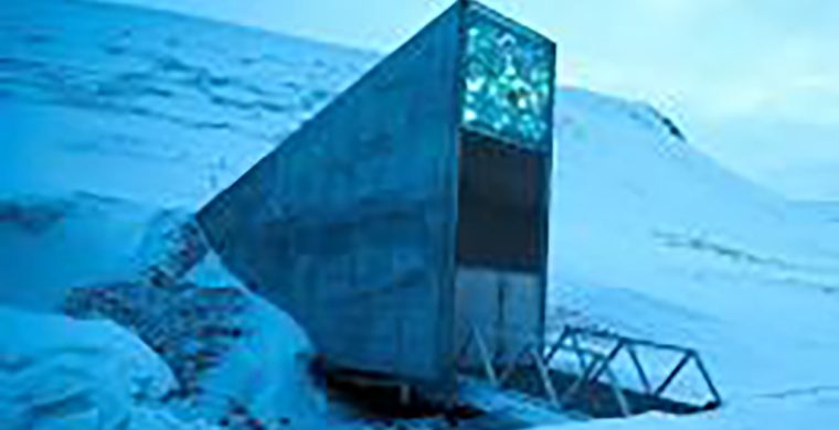 The Svalbard Global Seed Vault outside Longyearbyen on Svalbard, Norway, has the capacity to hold 4.5m crop varieties. (Photograph: Heiko Junge/EPA)
